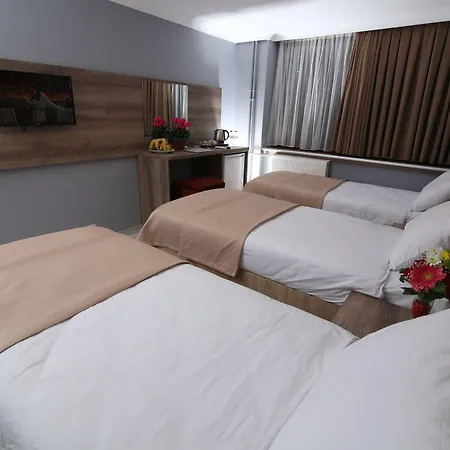 Hotel Kocatepe *